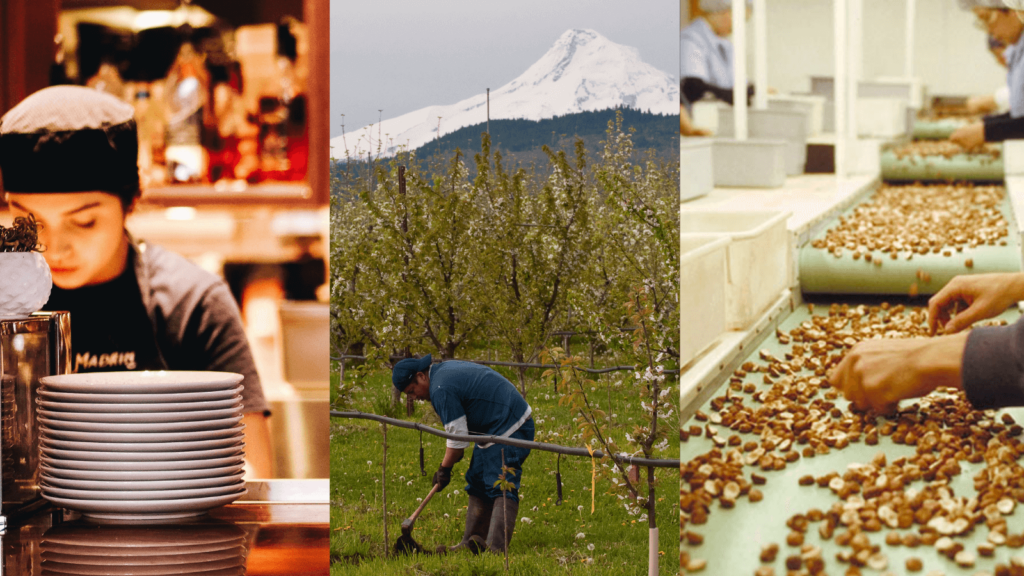 The image is split into three panels. The first shows a young woman working in a restaurant, the second shows a farmworker working in a field with Mt. Hood in the background, and the third sows workers sorting hazelnuts on a conveyor belt.