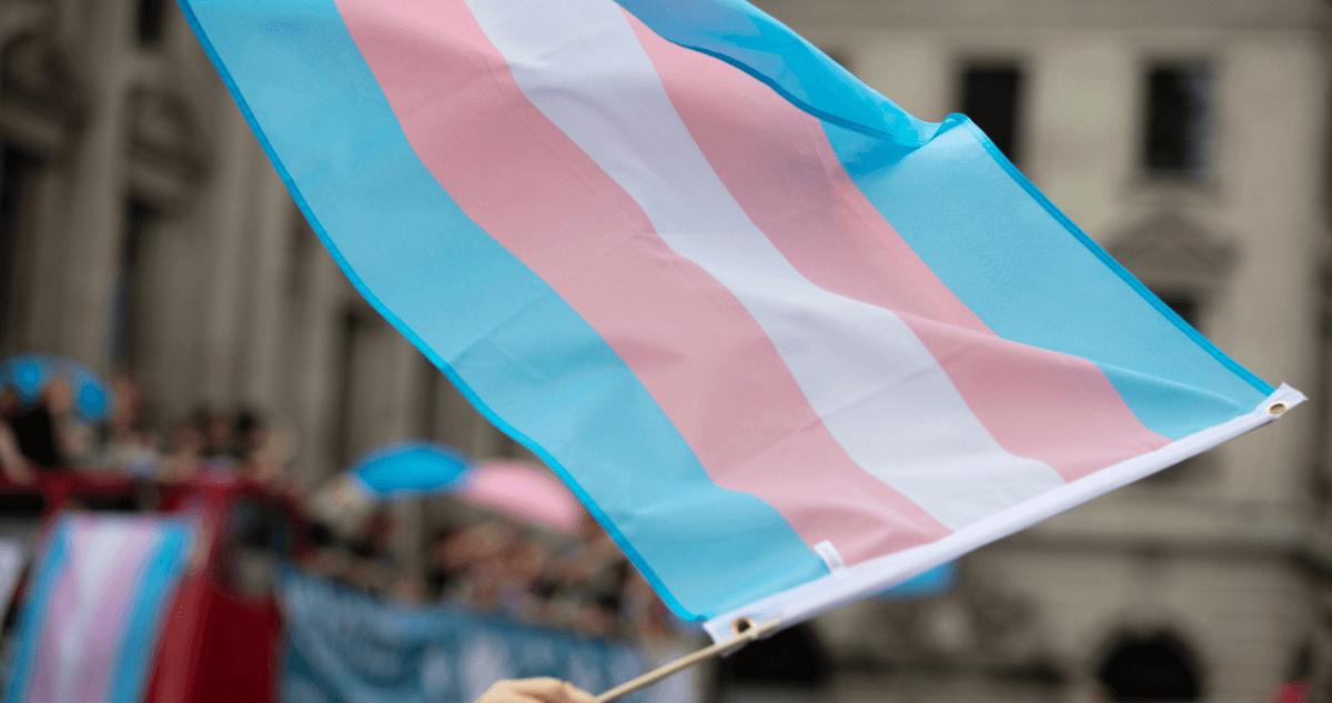 Trans flag being waved in the air