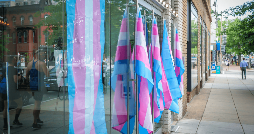 Image of trans flags displayed outside of a building.